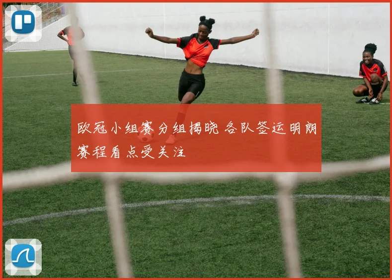 欧冠小组赛分组揭晓 各队签运明朗赛程看点受关注