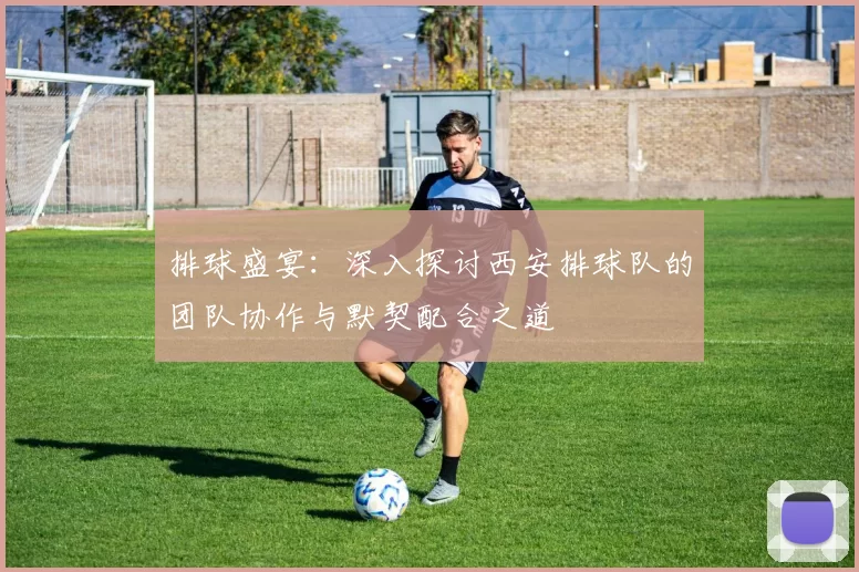 排球盛宴：深入探讨西安排球队的团队协作与默契配合之道