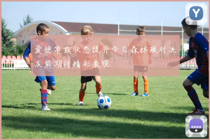 爱德华兹状态提升今日森林狼对决灰熊期待精彩表现