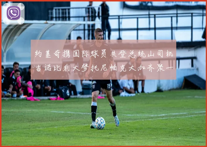 约基奇携国际球员共登总统山司机吉诺比利大梦托尼帕克大加齐聚一堂