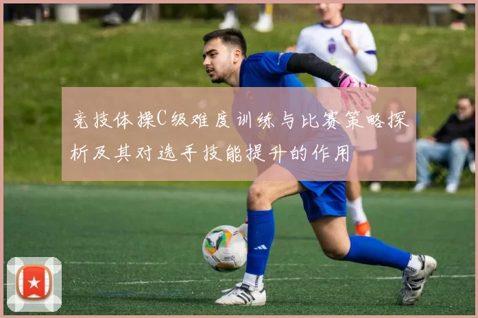 竞技体操C级难度训练与比赛策略探析及其对选手技能提升的作用