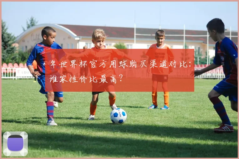 年世界杯官方用球购买渠道对比：谁家性价比最高？