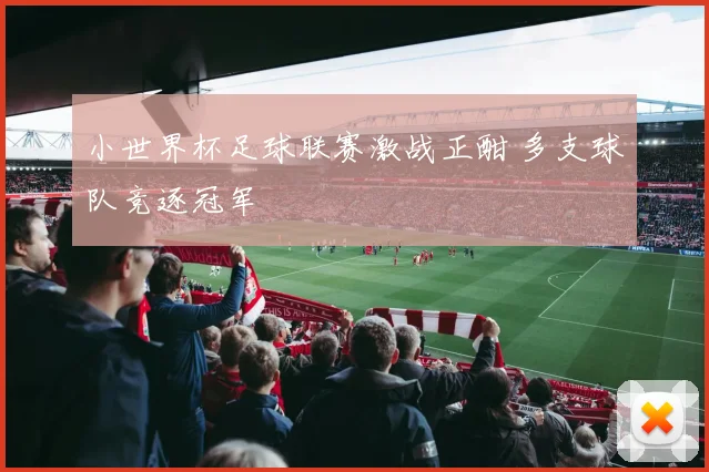 小世界杯足球联赛激战正酣 多支球队竞逐冠军