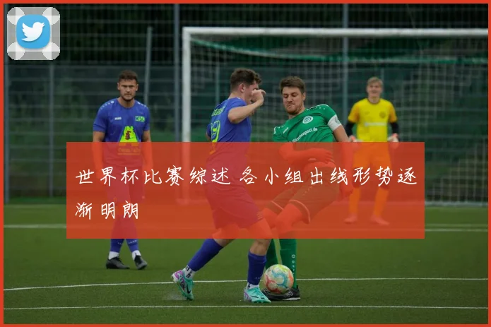 世界杯比赛综述 各小组出线形势逐渐明朗