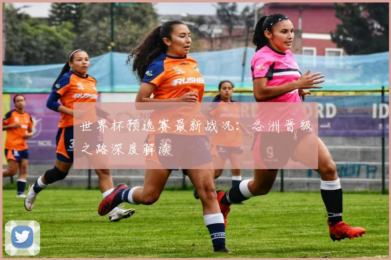 世界杯预选赛最新战况:各洲晋级之路深度解读