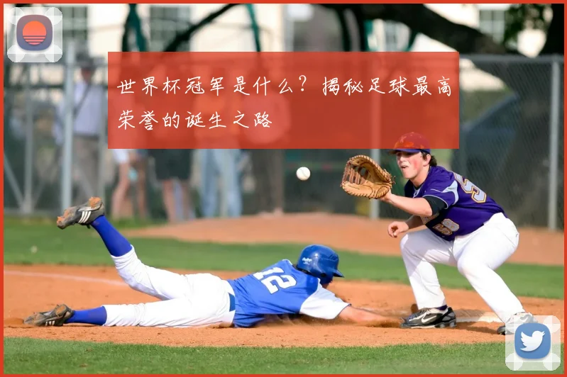 世界杯冠军是什么？揭秘足球最高荣誉的诞生之路