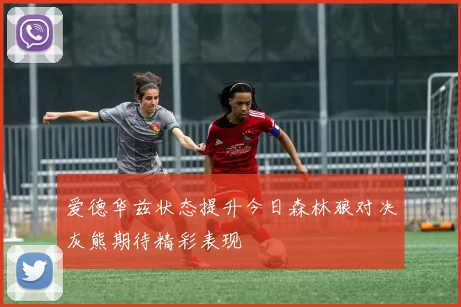 爱德华兹状态提升今日森林狼对决灰熊期待精彩表现